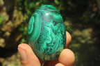 Polished Large Solid Flower Banded Malachite Gemstone Eggs - Sold Per Item - From Congo - Toprock Gemstones and Minerals 