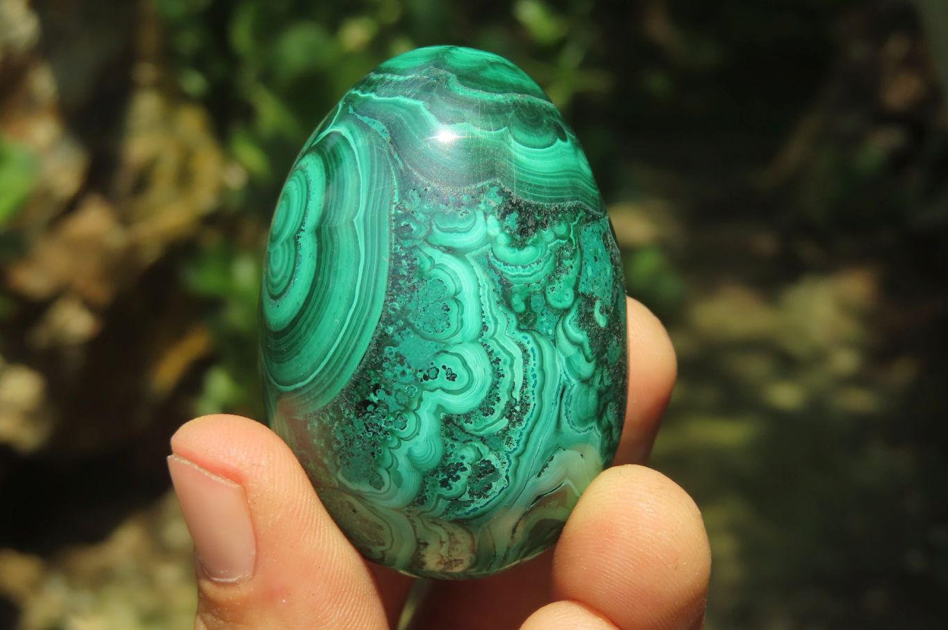 Polished Large Solid Flower Banded Malachite Gemstone Eggs - Sold Per Item - From Congo - Toprock Gemstones and Minerals 