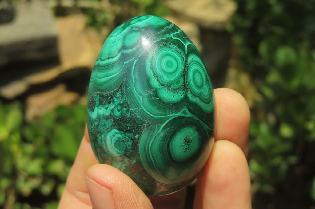 Polished Large Solid Flower Banded Malachite Gemstone Eggs - Sold Per Item - From Congo - Toprock Gemstones and Minerals 