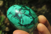 Polished Large Solid Flower Banded Malachite Gemstone Eggs - Sold Per Item - From Congo - Toprock Gemstones and Minerals 