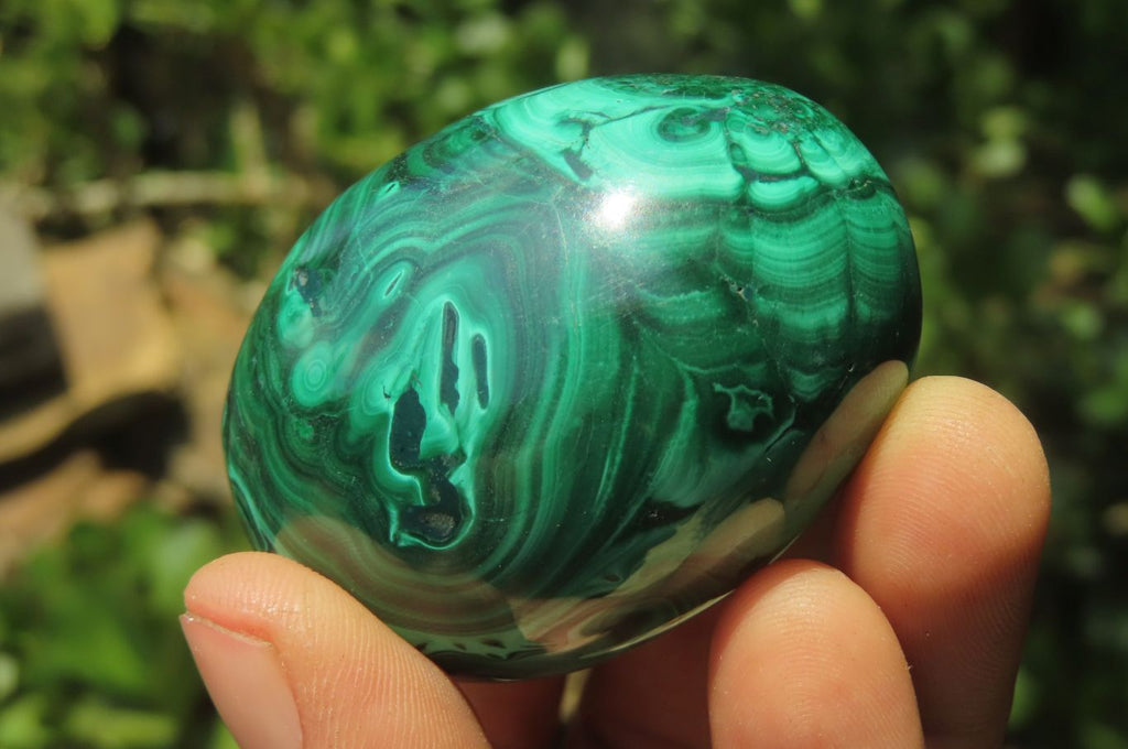 Polished Large Solid Flower Banded Malachite Gemstone Eggs - Sold Per Item - From Congo - Toprock Gemstones and Minerals 
