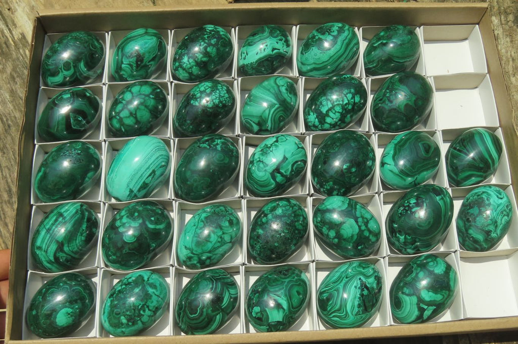 Polished Large Solid Flower Banded Malachite Gemstone Eggs - Sold Per Item - From Congo - Toprock Gemstones and Minerals 