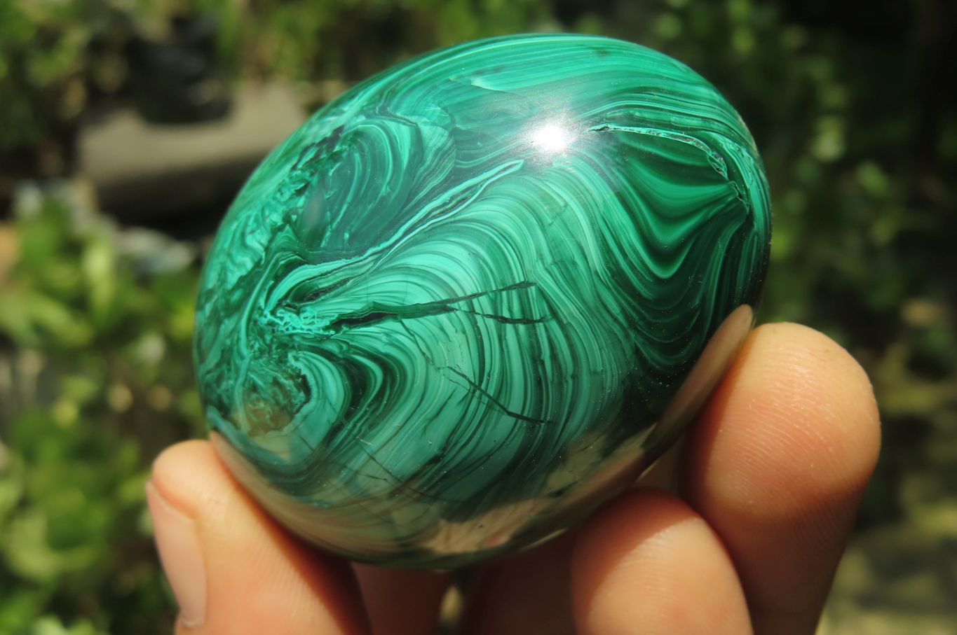 Polished Large Solid Flower Banded Malachite Gemstone Eggs - Sold Per Item - From Congo - Toprock Gemstones and Minerals 