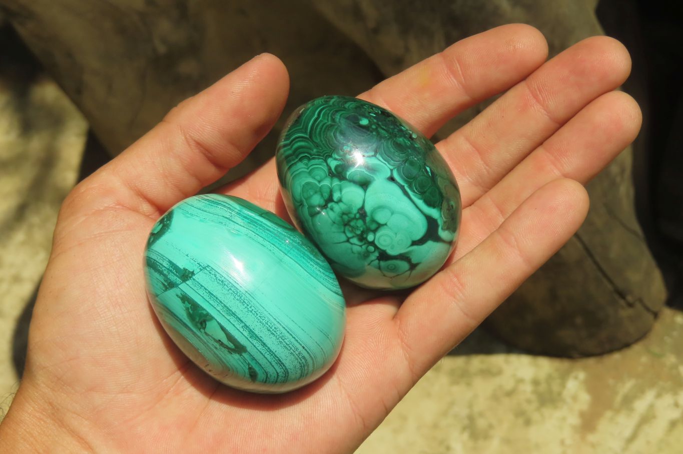 Polished Large Solid Flower Banded Malachite Gemstone Eggs - Sold Per Item - From Congo - Toprock Gemstones and Minerals 
