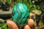 Polished Large Solid Flower Banded Malachite Gemstone Eggs - Sold Per Item - From Congo - Toprock Gemstones and Minerals 