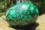 Polished Large Solid Flower Banded Malachite Gemstone Eggs - Sold Per Item - From Congo - Toprock Gemstones and Minerals 