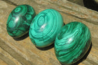 Polished Large Solid Flower Banded Malachite Gemstone Eggs - Sold Per Item - From Congo - Toprock Gemstones and Minerals 