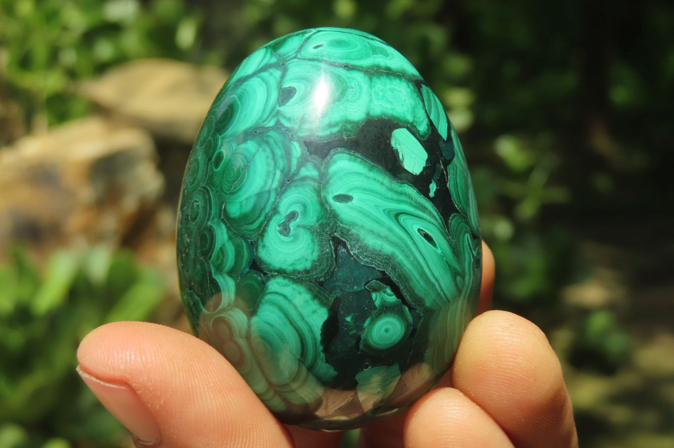 Polished Large Solid Flower Banded Malachite Gemstone Eggs - Sold Per Item - From Congo - Toprock Gemstones and Minerals 
