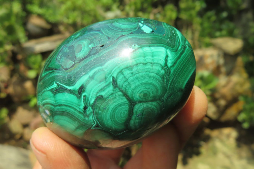 Polished Flower Banded Malachite Gemstone Eggs x 5 From Congo - Toprock Gemstones and Minerals 