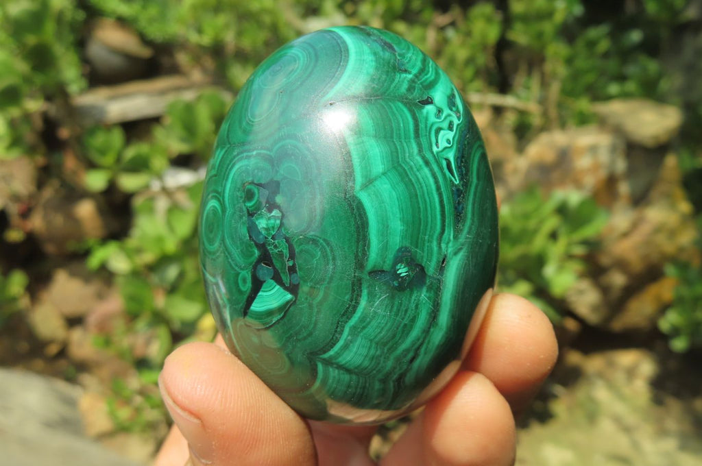 Polished Flower Banded Malachite Gemstone Eggs x 5 From Congo - Toprock Gemstones and Minerals 