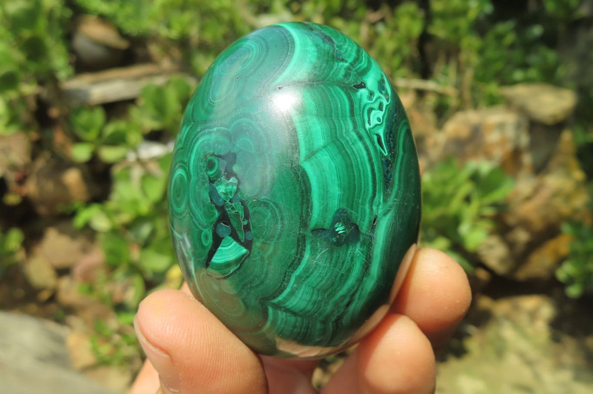 Polished Flower Banded Malachite Gemstone Eggs x 5 From Congo - Toprock Gemstones and Minerals 