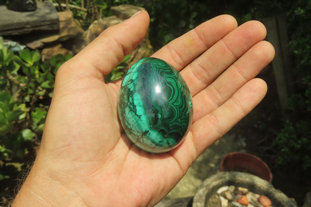 Polished Flower Banded Malachite Gemstone Eggs x 5 From Congo - Toprock Gemstones and Minerals 