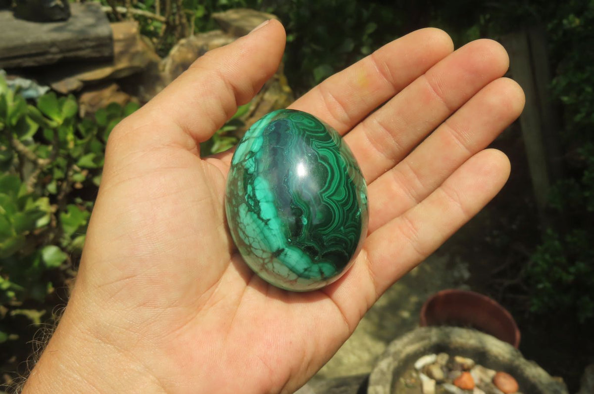 Polished Flower Banded Malachite Gemstone Eggs x 5 From Congo - Toprock Gemstones and Minerals 