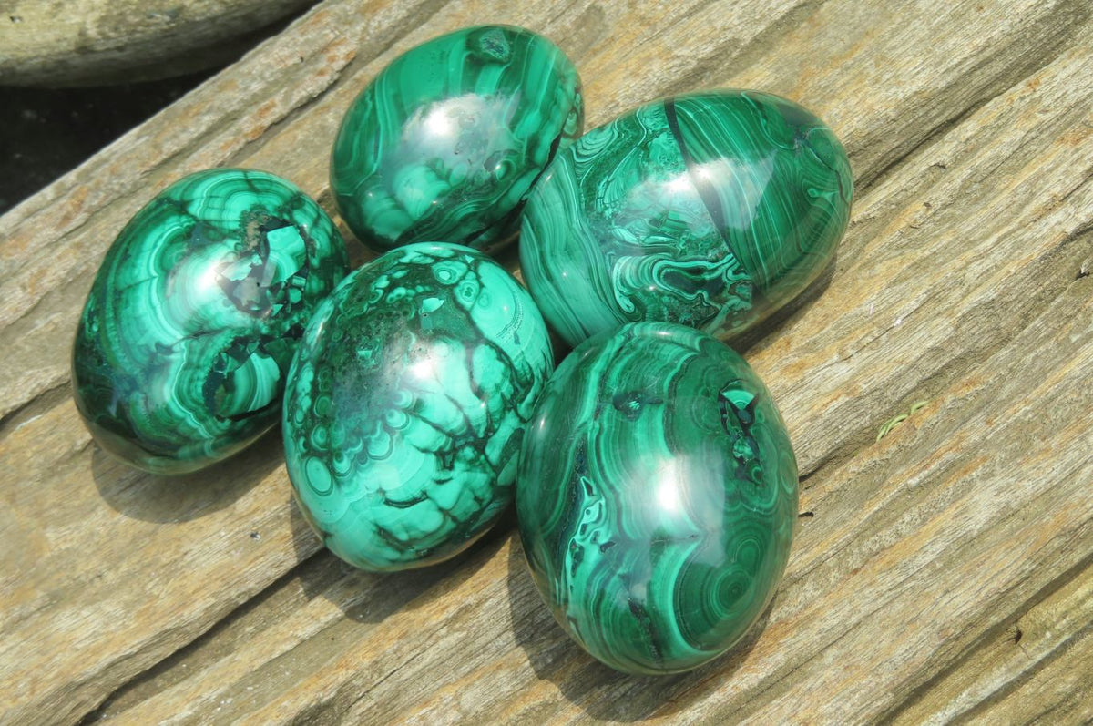 Polished Flower Banded Malachite Gemstone Eggs x 5 From Congo - Toprock Gemstones and Minerals 