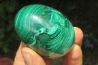 Polished Flower Banded Malachite Gemstone Eggs x 5 From Congo - Toprock Gemstones and Minerals 
