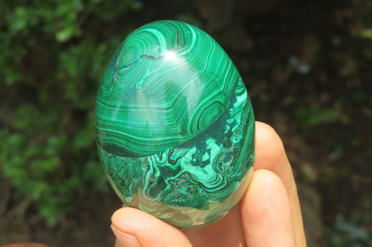 Polished Flower Banded Malachite Gemstone Eggs x 5 From Congo - Toprock Gemstones and Minerals 