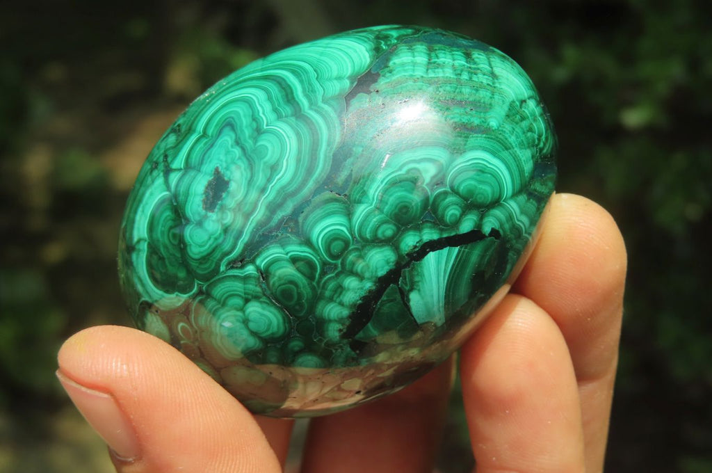 Polished Flower Banded Malachite Gemstone Eggs x 5 From Congo - Toprock Gemstones and Minerals 