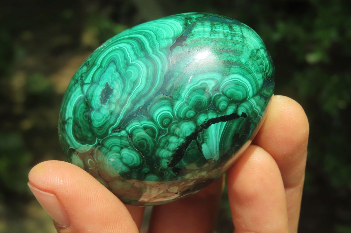 Polished Flower Banded Malachite Gemstone Eggs x 5 From Congo - Toprock Gemstones and Minerals 