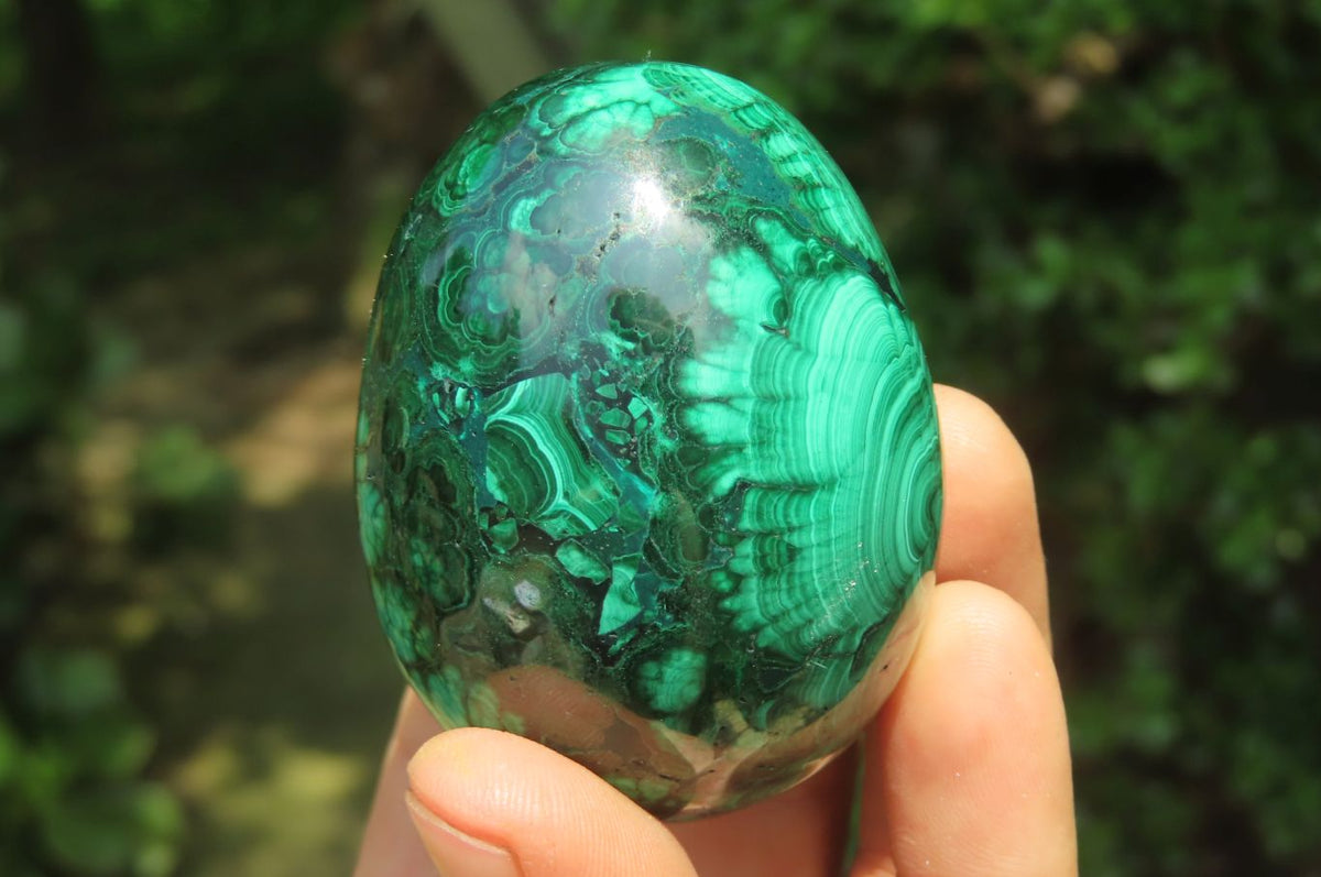 Polished Flower Banded Malachite Gemstone Eggs x 5 From Congo - Toprock Gemstones and Minerals 