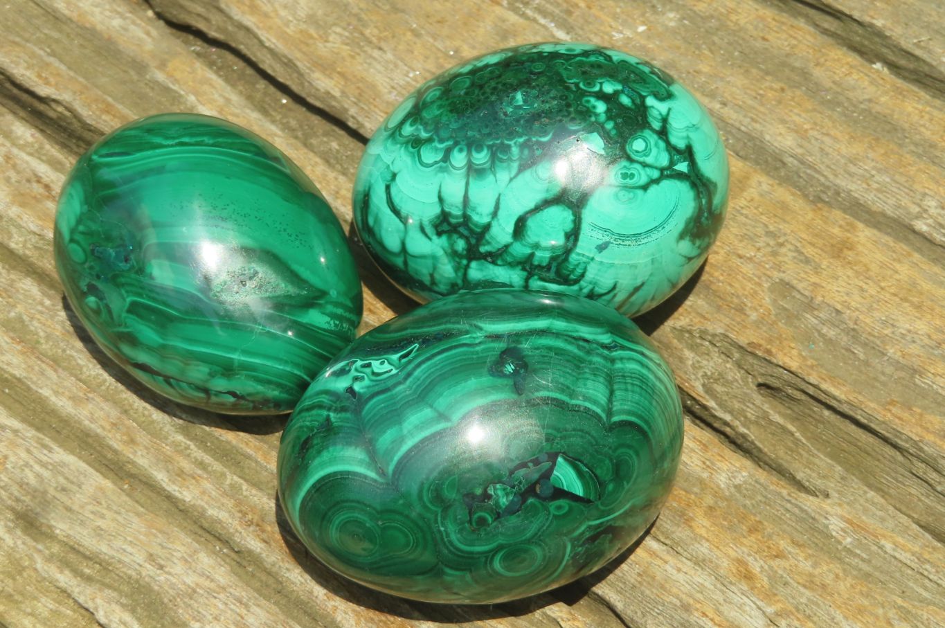 Polished Flower Banded Malachite Gemstone Eggs x 5 From Congo - Toprock Gemstones and Minerals 
