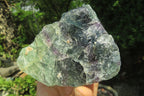 Natural Watermelon Fluorite Specimens x 5 From Namibia - Toprock Gemstones and Minerals 