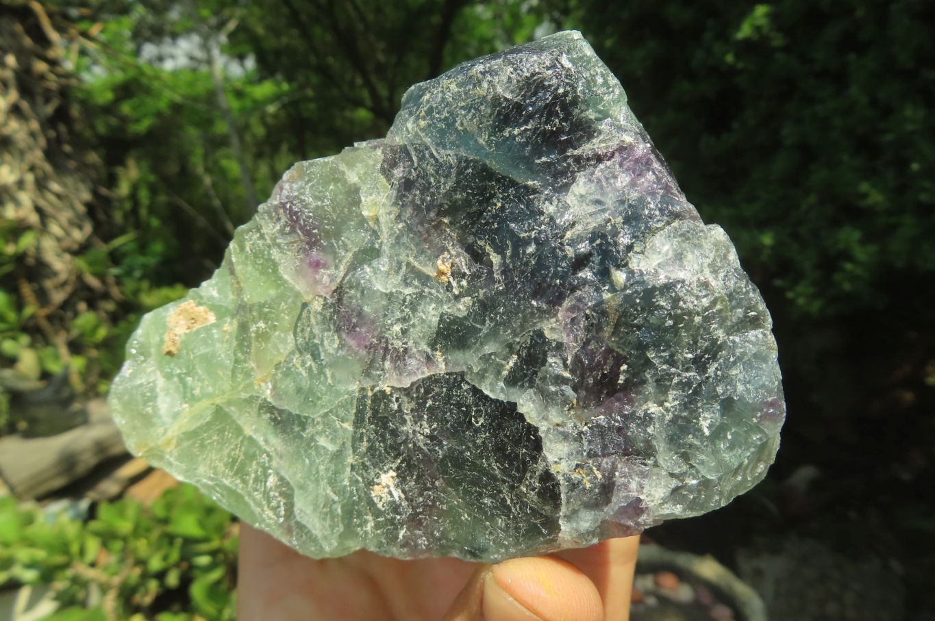 Natural Watermelon Fluorite Specimens x 5 From Namibia - Toprock Gemstones and Minerals 
