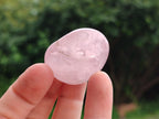 Polished Rose Quartz Palm Stones x 24 From Madagascar - Toprock Gemstones and Minerals 