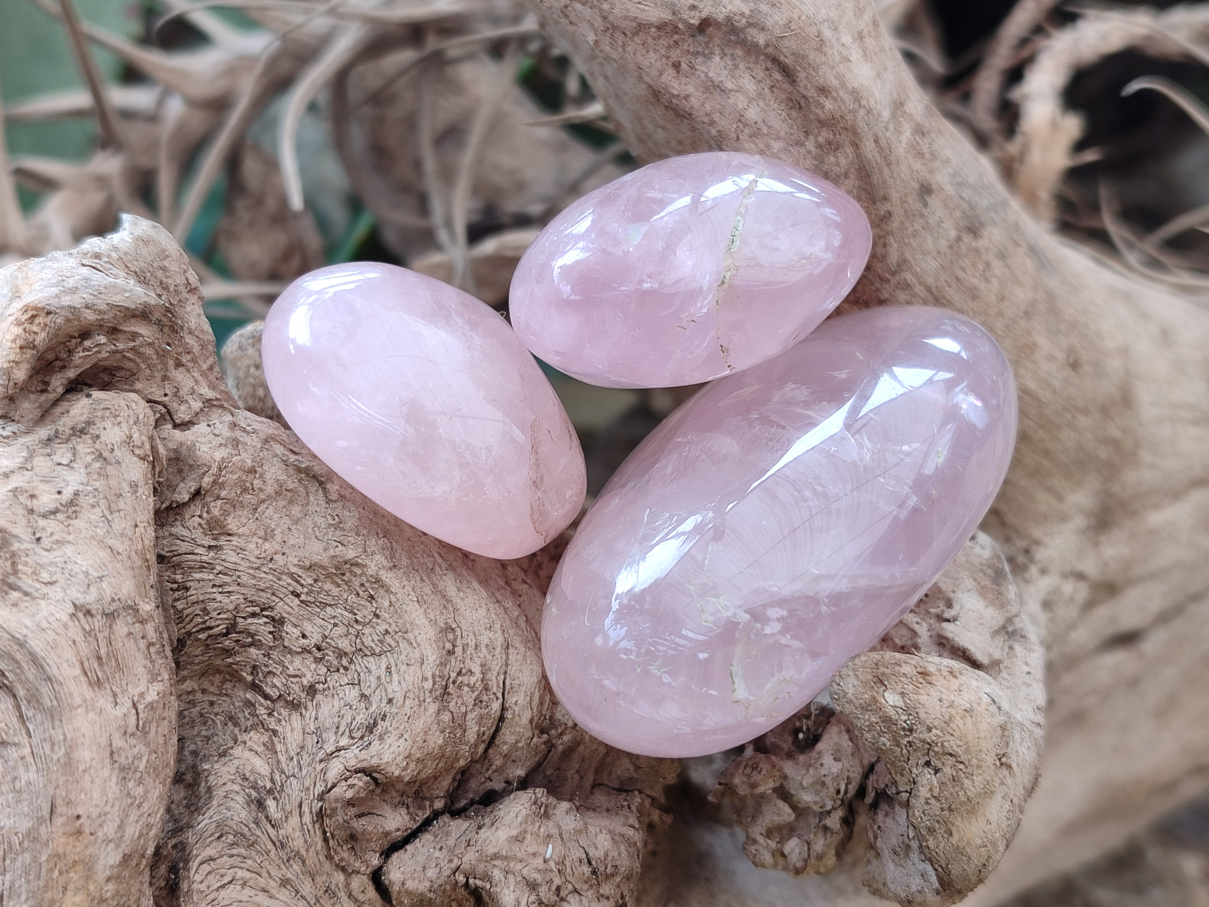 Polished Rose Quartz Palm Stones x 24 From Madagascar - Toprock Gemstones and Minerals 
