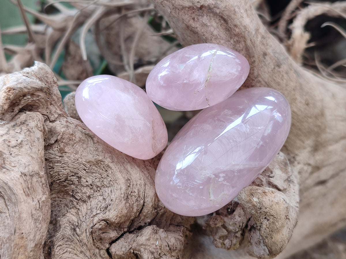 Polished Rose Quartz Palm Stones x 24 From Madagascar - Toprock Gemstones and Minerals 