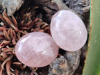 Polished Rose Quartz Palm Stones x 24 From Madagascar - Toprock Gemstones and Minerals 