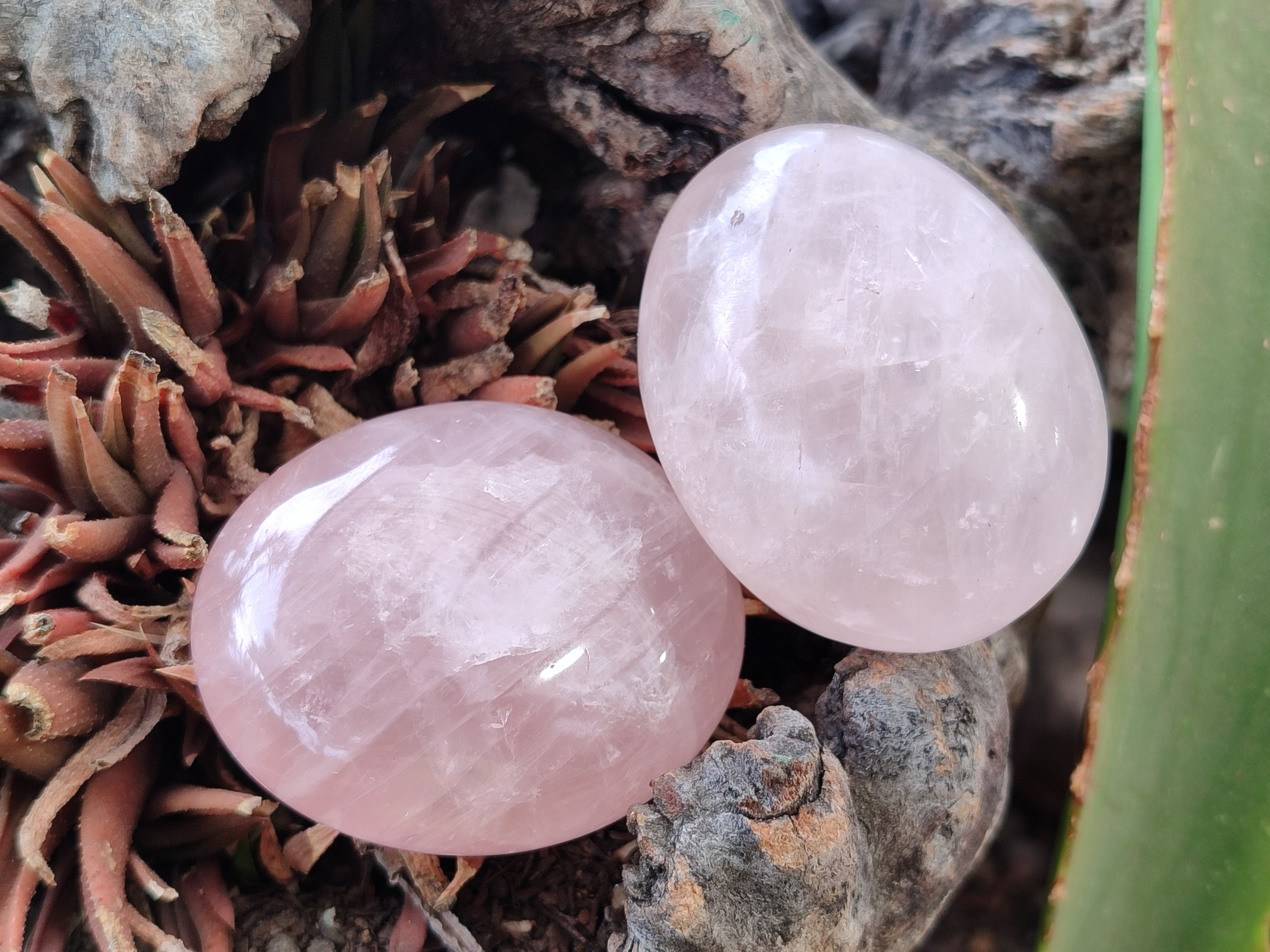 Polished Rose Quartz Palm Stones x 24 From Madagascar - Toprock Gemstones and Minerals 