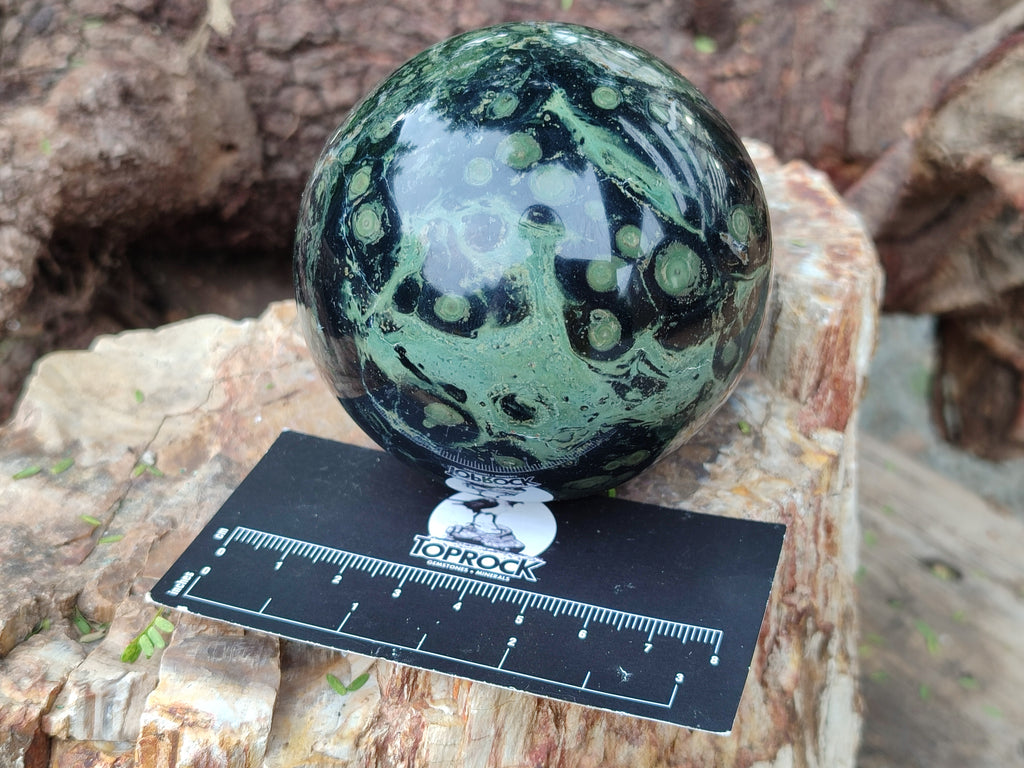 Polished Stromatolite Spheres x 3 From Madagascar - Toprock Gemstones and Minerals 