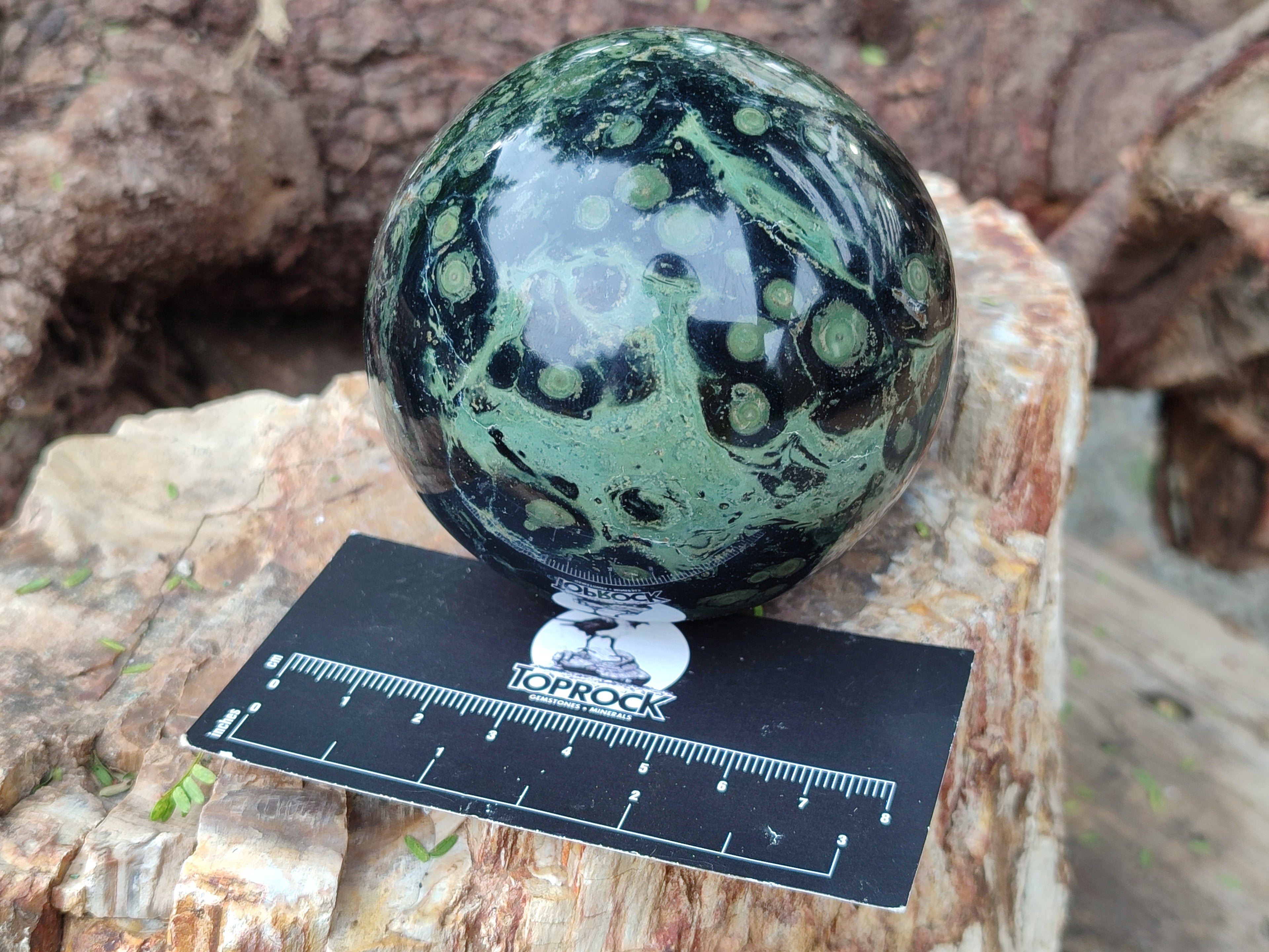 Polished Stromatolite Spheres x 3 From Madagascar - Toprock Gemstones and Minerals 
