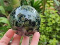Polished Stromatolite Spheres x 3 From Madagascar