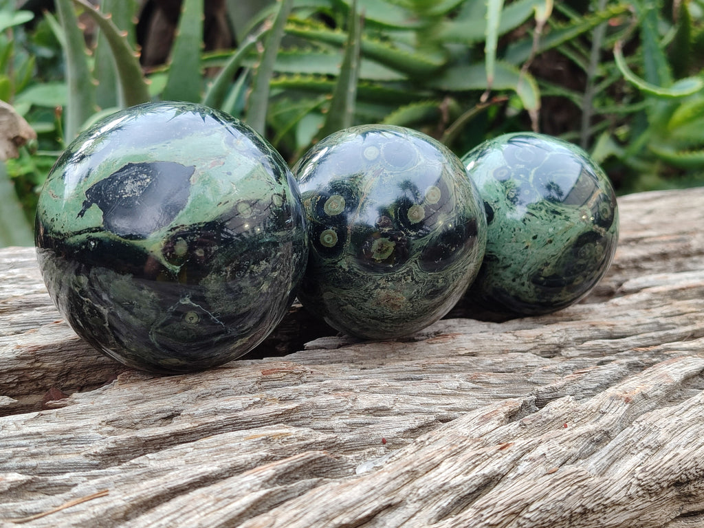 Polished Stromatolite Spheres x 3 From Madagascar - Toprock Gemstones and Minerals 