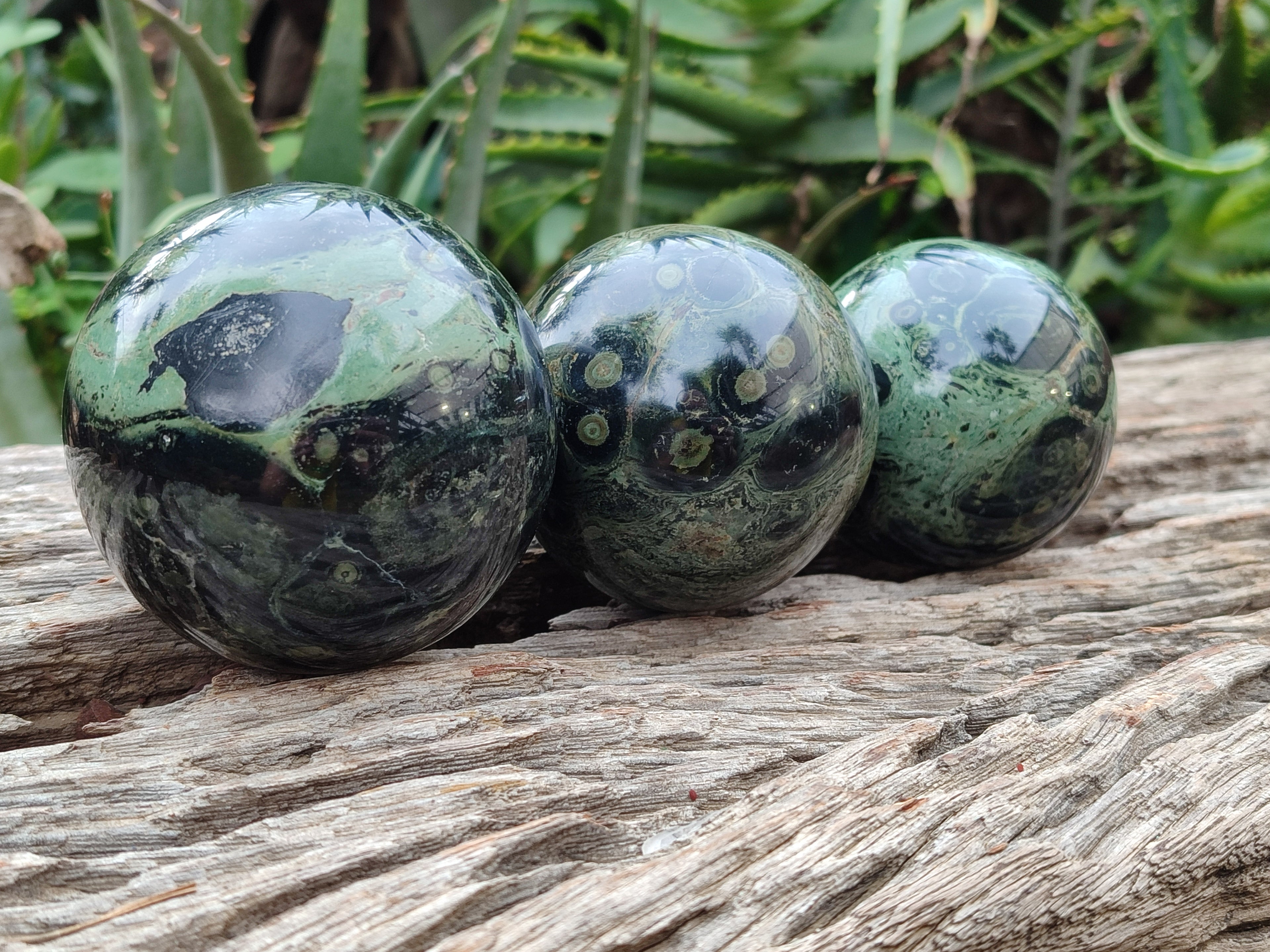 Polished Stromatolite Spheres x 3 From Madagascar - Toprock Gemstones and Minerals 
