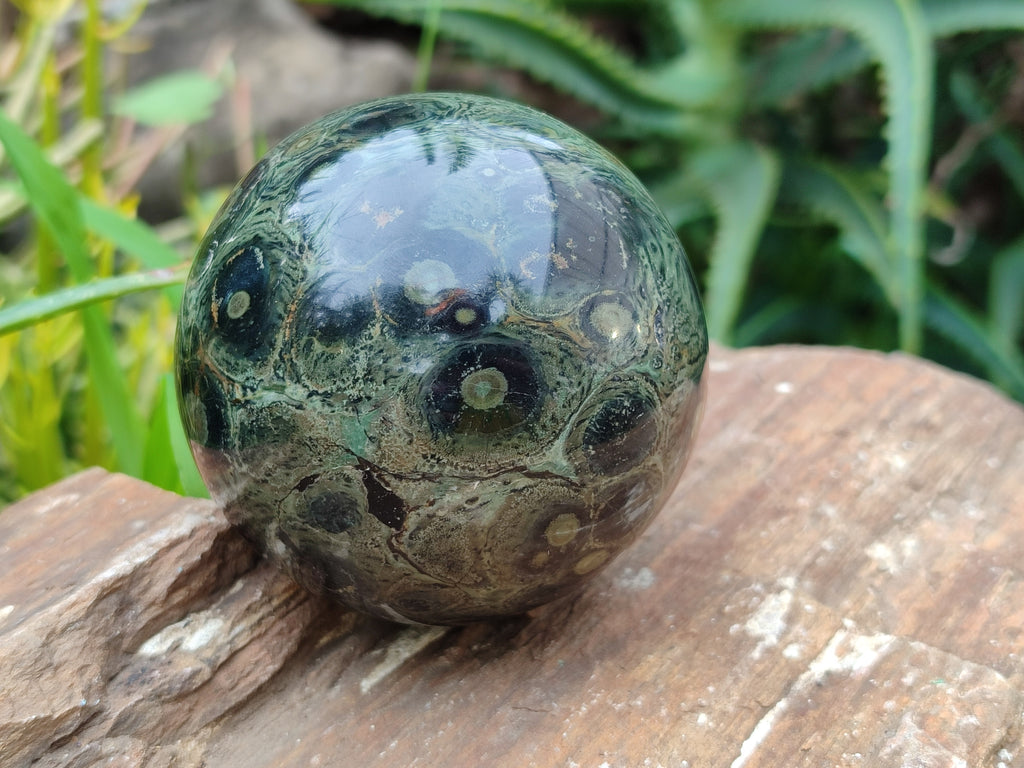 Polished Stromatolite Spheres x 3 From Madagascar - Toprock Gemstones and Minerals 