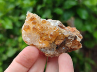 Natural Limonite Quartz Clusters x 12 From Zambia - Toprock Gemstones and Minerals 