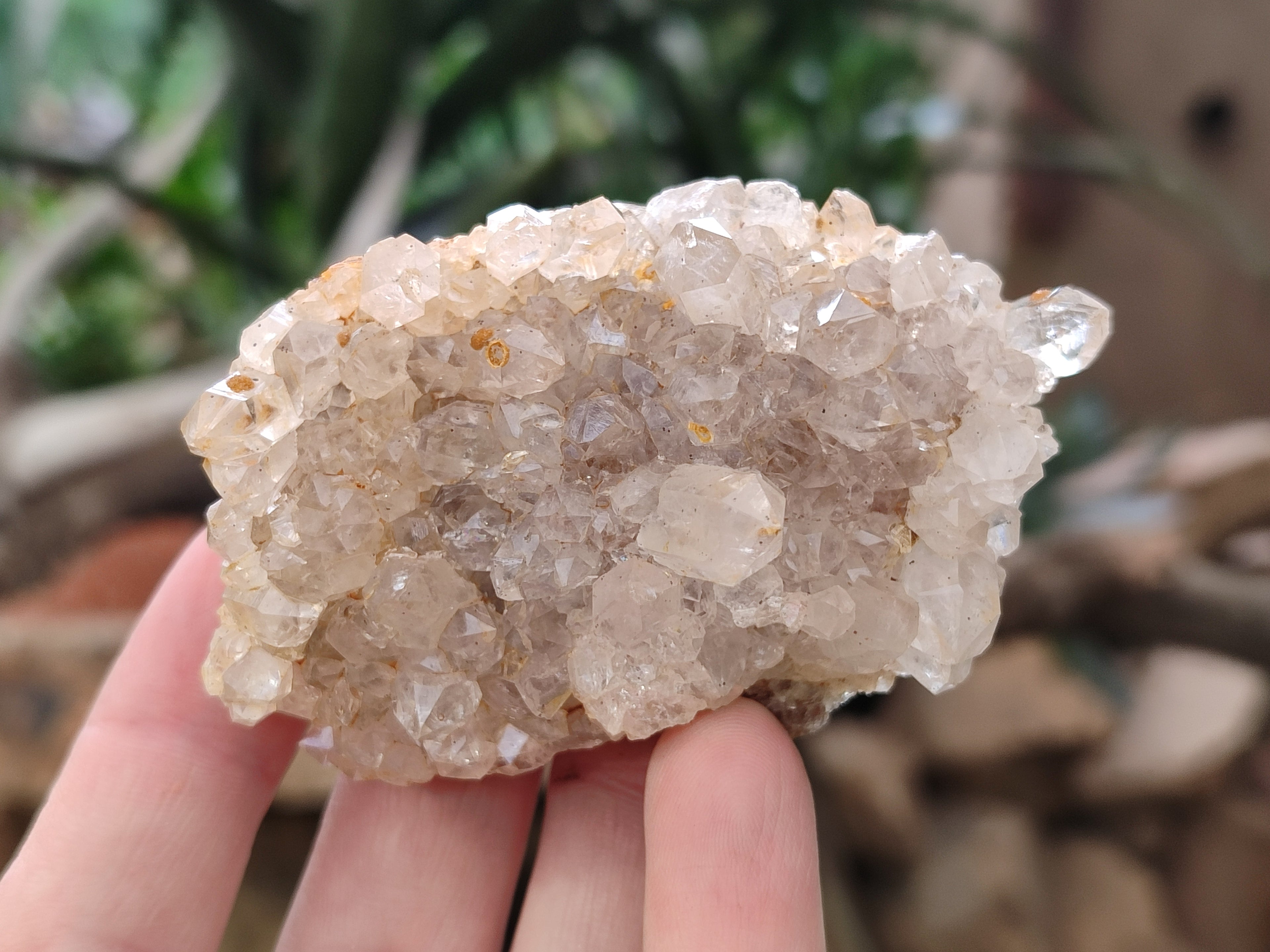 Natural Limonite Quartz Clusters x 12 From Zambia - Toprock Gemstones and Minerals 