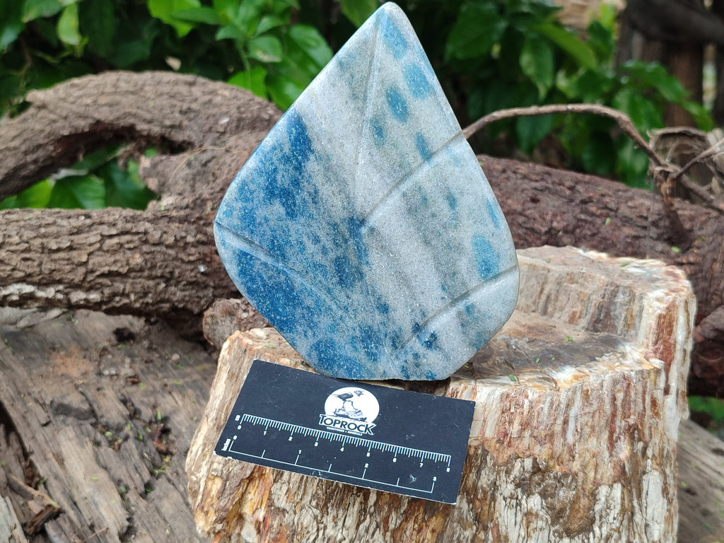 Polished Blue Spinel Spotted Quartz Leaf Sculptures x 2 From Madagascar - Toprock Gemstones and Minerals 