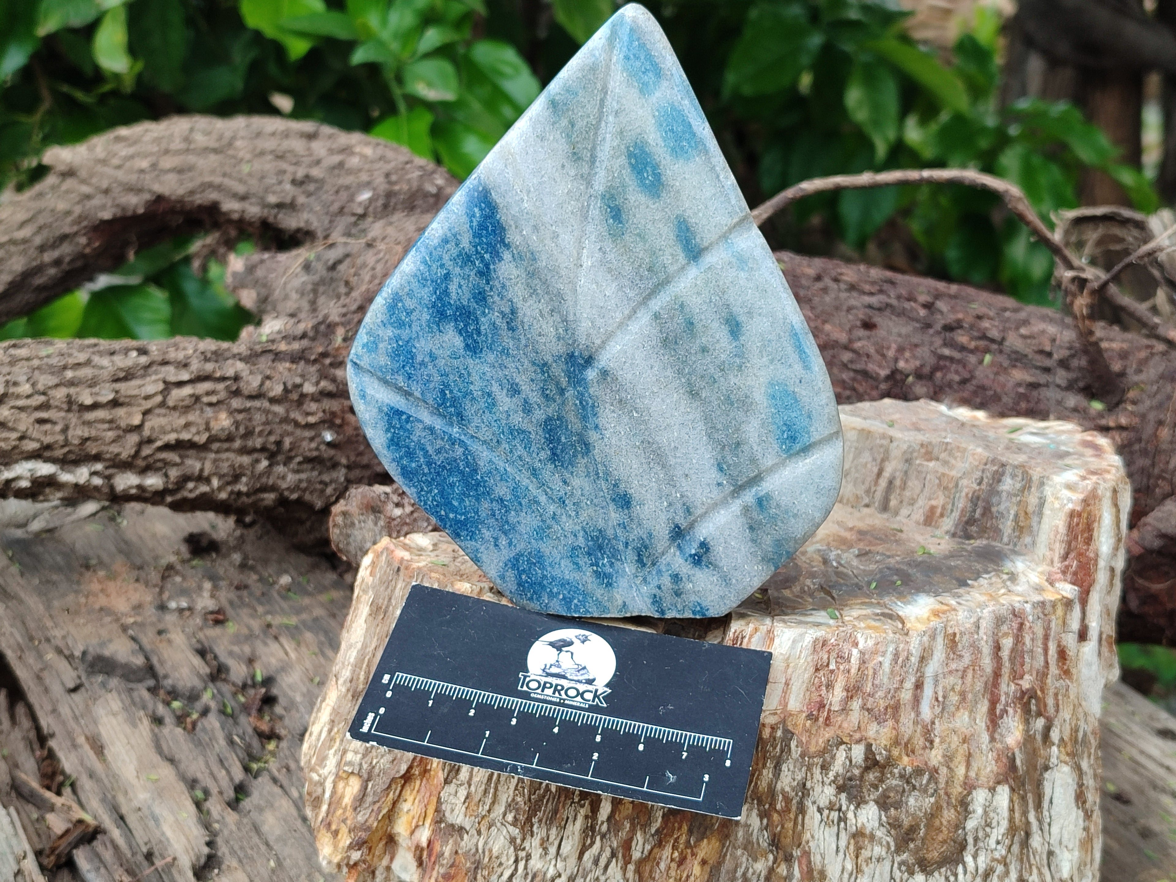Polished Blue Spinel Spotted Quartz Leaf Sculptures x 2 From Madagascar - Toprock Gemstones and Minerals 