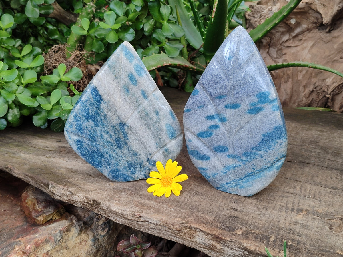 Polished Blue Spinel Spotted Quartz Leaf Sculptures x 2 From Madagascar - Toprock Gemstones and Minerals 