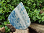 Polished Blue Spinel Spotted Quartz Leaf Sculptures x 2 From Madagascar - Toprock Gemstones and Minerals 