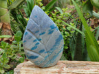 Polished Blue Spinel Spotted Quartz Leaf Sculptures x 2 From Madagascar - Toprock Gemstones and Minerals 