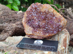 Natural Amethystos Amethyst Clusters x 7 From Kwaggafontein, South Africa - Toprock Gemstones and Minerals 