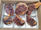 Natural Amethystos Amethyst Clusters x 7 From Kwaggafontein, South Africa - Toprock Gemstones and Minerals 