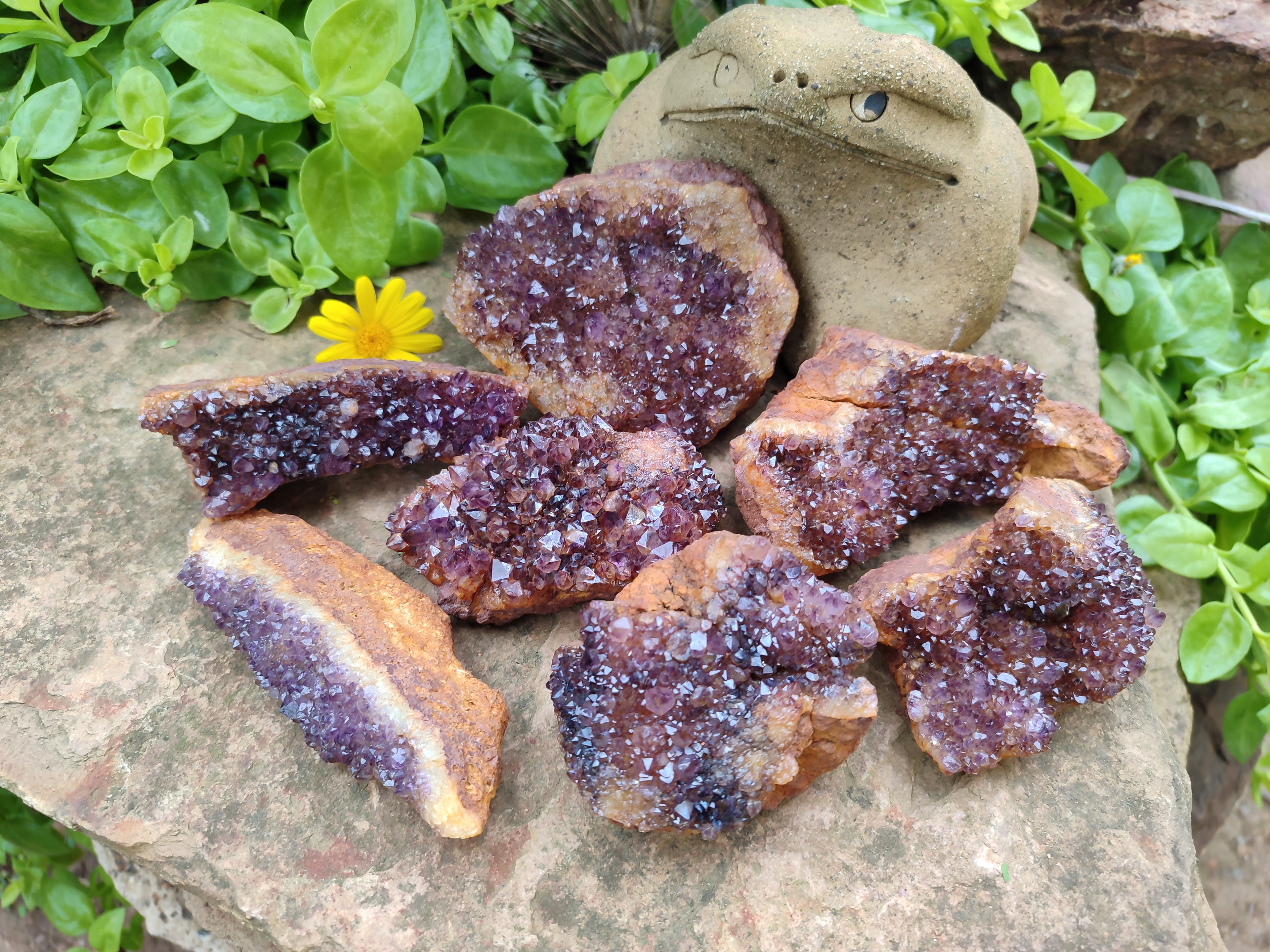 Natural Amethystos Amethyst Clusters x 7 From Kwaggafontein, South Africa - Toprock Gemstones and Minerals 
