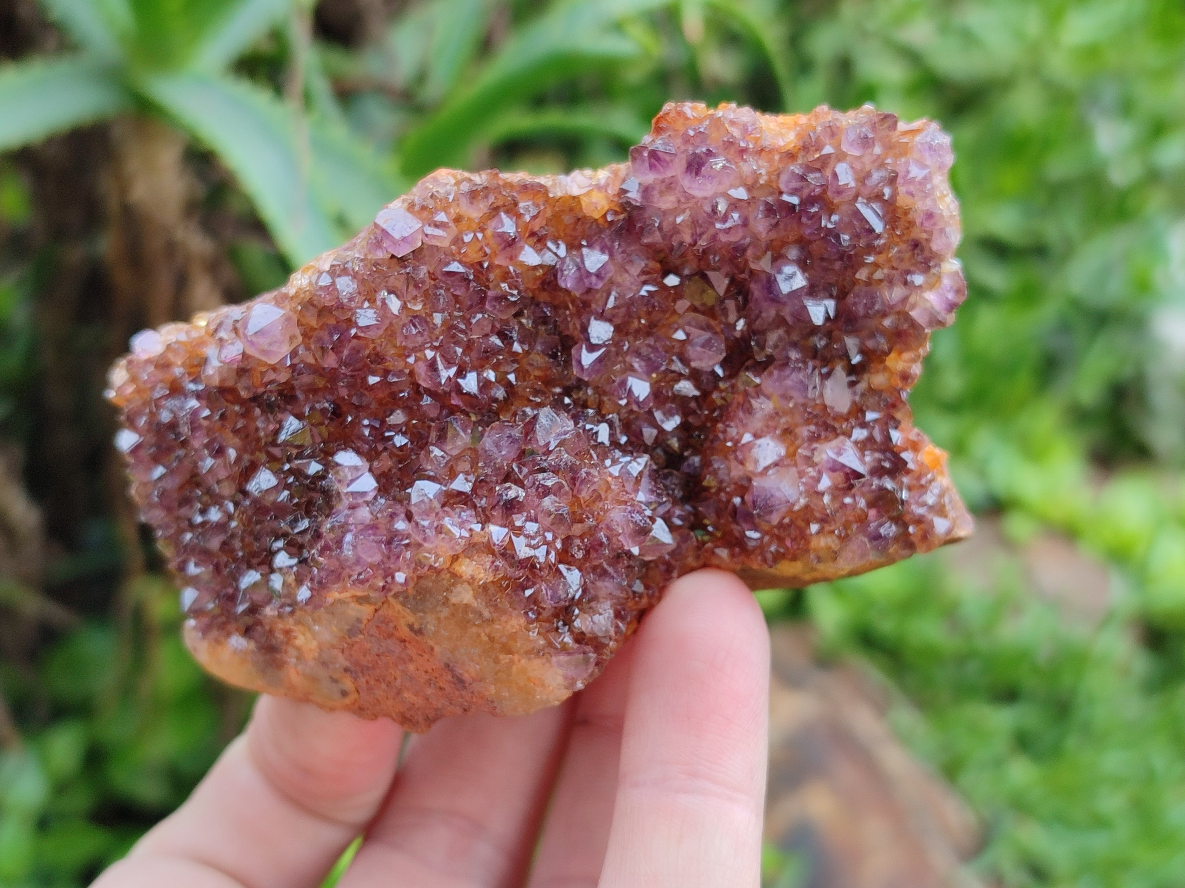 Natural Amethystos Amethyst Clusters x 7 From Kwaggafontein, South Africa - Toprock Gemstones and Minerals 