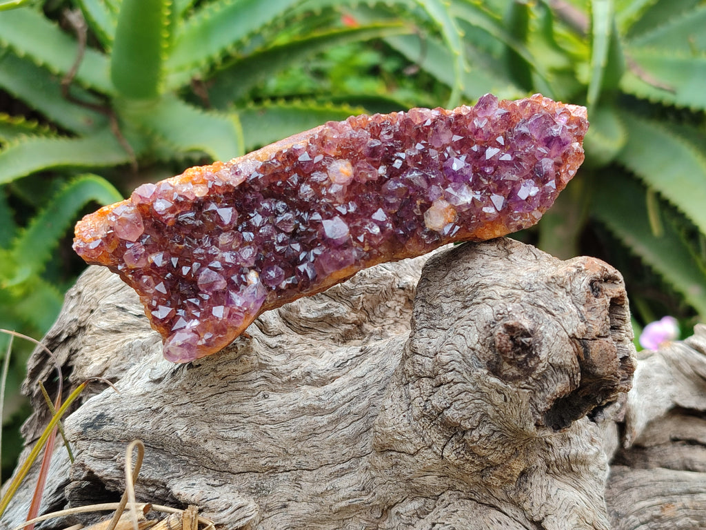 Natural Amethystos Amethyst Clusters x 7 From Kwaggafontein, South Africa - Toprock Gemstones and Minerals 