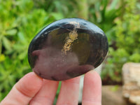 Polished Pharaoh Stone Palm Stones x 12 From Zimbabwe - Toprock Gemstones and Minerals 